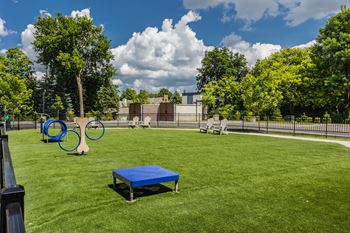 Pet playground with a blue mat and a swing set
